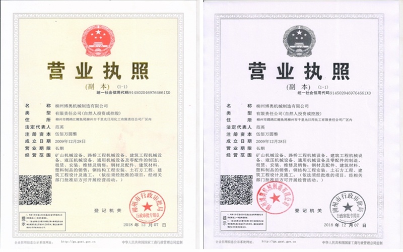 公司2009年(nian)成立